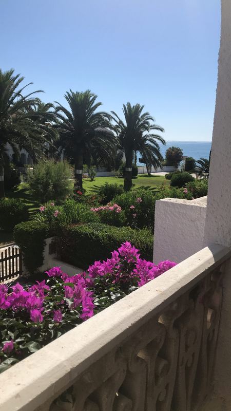 Terrasse fleurie de bougainvilliers, Las Golondrinas Benicarló